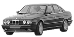 BMW E34 B256E Fault Code